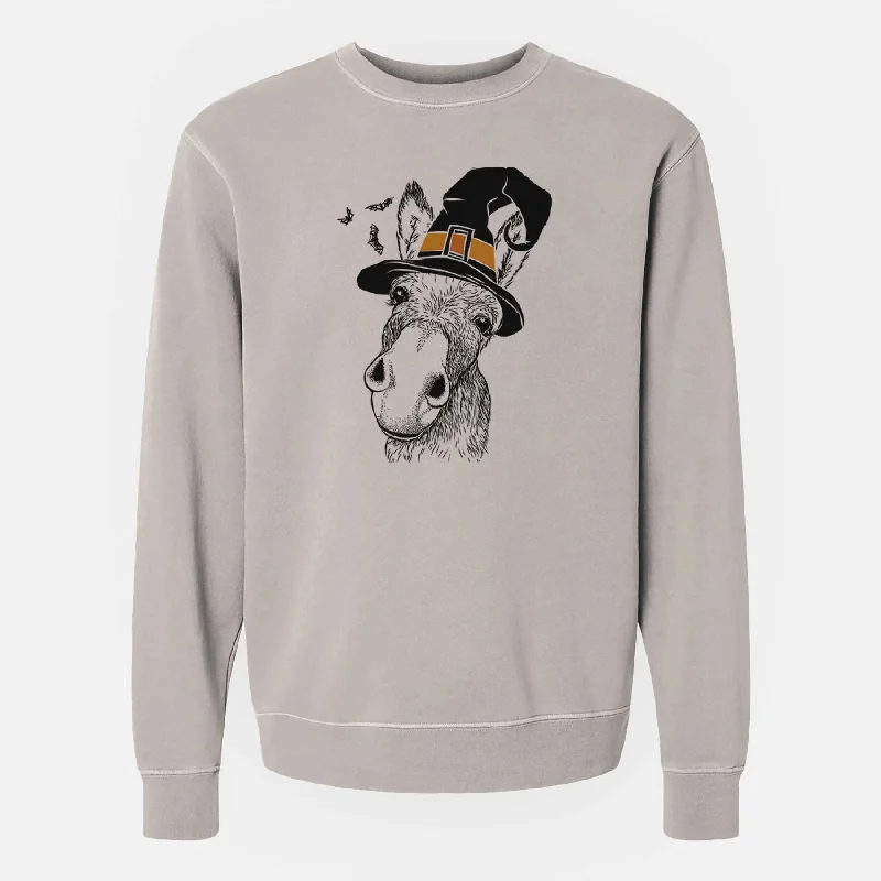 Witch Jenny the Donkey - Unisex Pigment Dyed Crew Sweatshirt