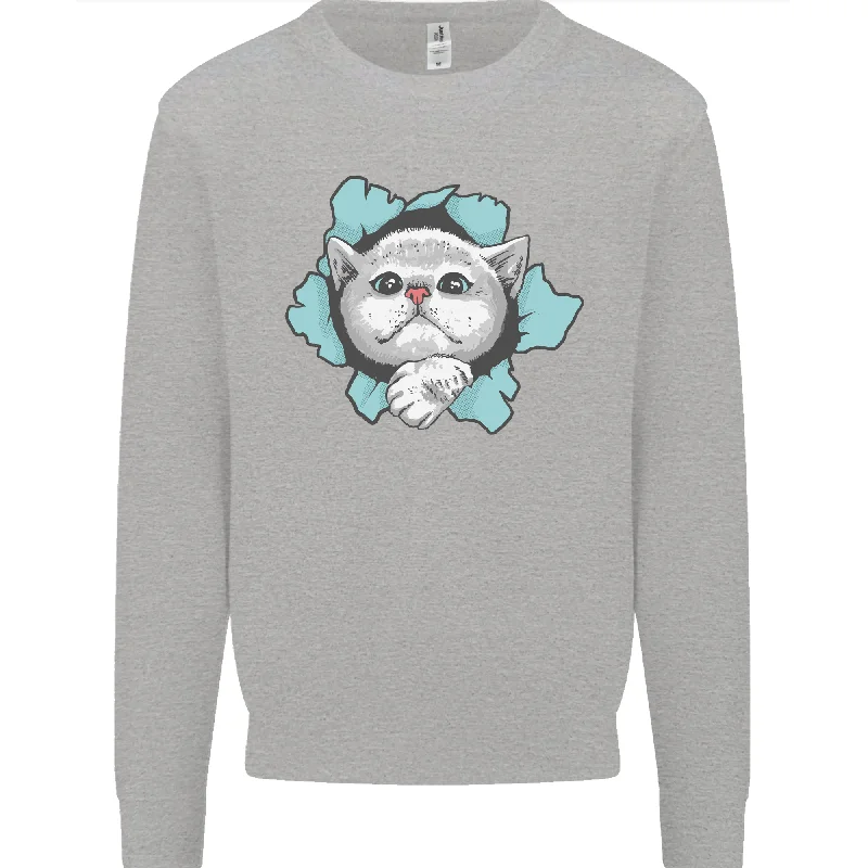 Cat Hole Mens Sweatshirt Jumper