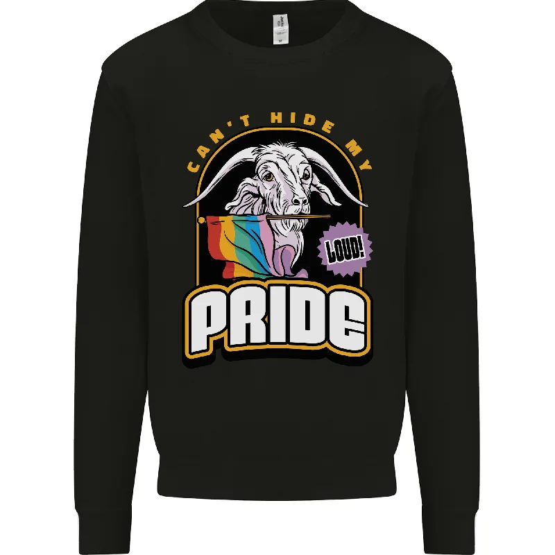 Cant Hide My Pride LGBT Gay Awareness Mens Sweatshirt Jumper
